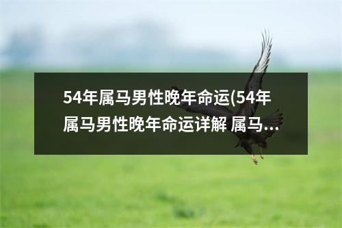 54年属马男性晚年命运(54年属马男性晚年命运详解 属马跟谁配-解梦库)