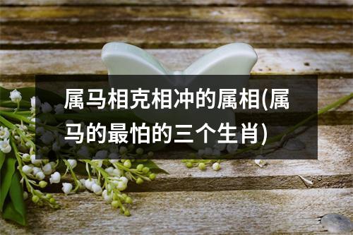 属马相克相冲的属相(属马的怕的三个生肖)