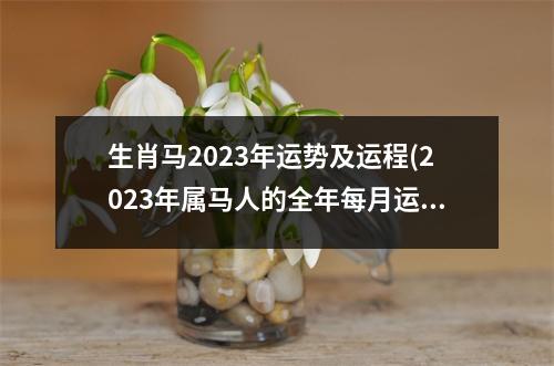 生肖马2023年运势及运程(2023年属马人的全年每月运势详解)