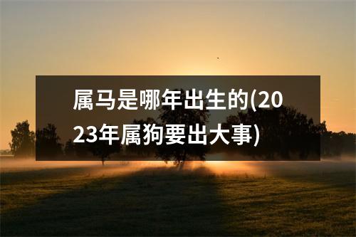 属马是哪年出生的(2023年属狗要出大事)