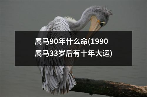 属马90年什么命(1990属马33岁后有十年大运)