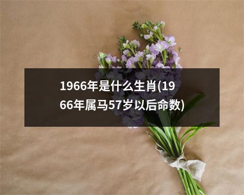 1966年是什么生肖(1966年属马57岁以后命数)