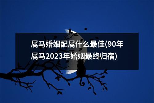 属马婚姻配属什么佳(90年属马2023年婚姻终归宿)