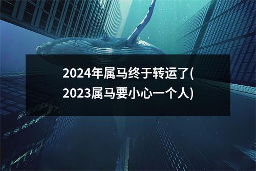 2024年属马终于转运了(2023属马要小心一个人)