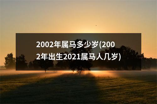 2002年属马多少岁(2002年出生2021属马人几岁)