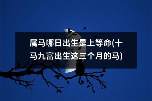 属马哪日出生是上等命(十马九富出生这三个月的马)