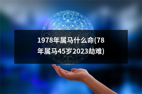 1978年属马什么命(78年属马45岁2023劫难)