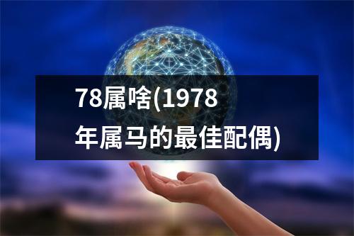 78属啥(1978年属马的佳配偶)