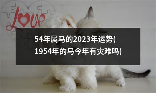 54年属马的2023年运势(1954年的马今年有灾难吗)