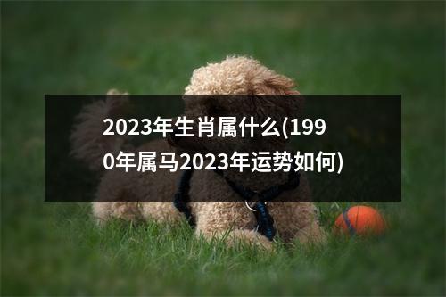 2023年生肖属什么(1990年属马2023年运势如何)