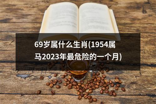 69岁属什么生肖(1954属马2023年危险的一个月)