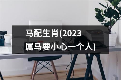 马配生肖(2023属马要小心一个人)