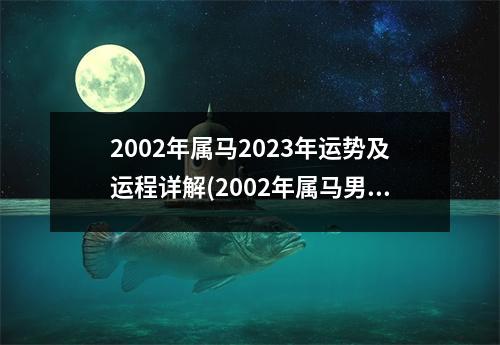 2002年属马2023年运势及运程详解(2002年属马男孩姻缘在哪一年)