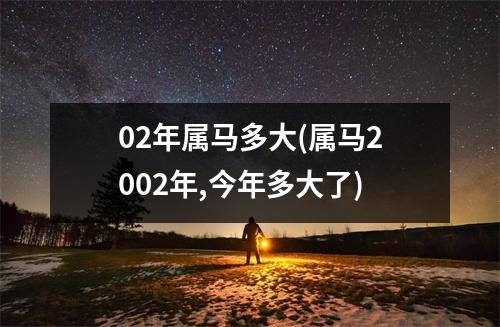 02年属马多大(属马2002年,今年多大了)