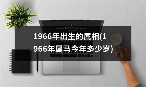 1966年出生的属相(1966年属马今年多少岁)