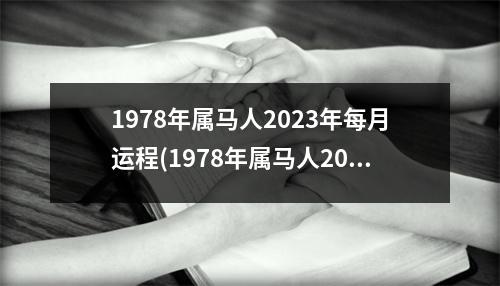 1978年属马人2023年每月运程(1978年属马人2023年运势每月运势)