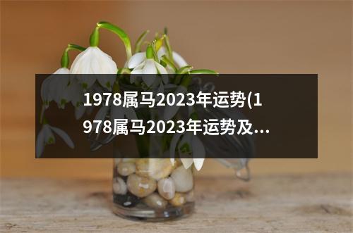 1978属马2023年运势(1978属马2023年运势及运程详解什么是勾神贯锁)