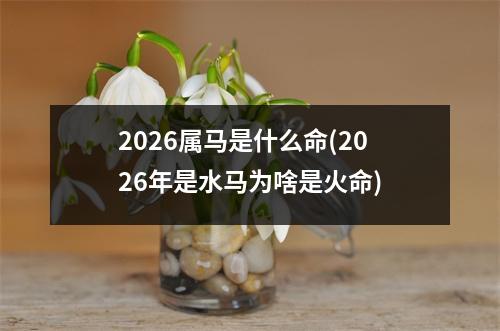 2026属马是什么命(2026年是水马为啥是火命)