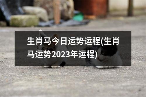 生肖马今日运势运程(生肖马运势2023年运程)