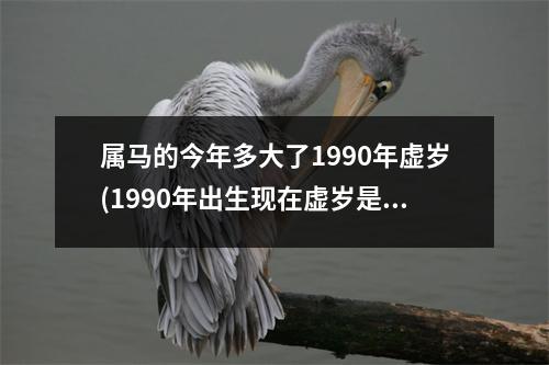 属马的今年多大了1990年虚岁(1990年出生现在虚岁是多少)