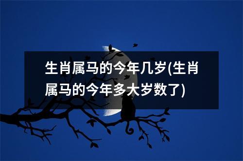 生肖属马的今年几岁(生肖属马的今年多大岁数了)