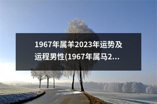 1967年属羊2023年运势及运程男性(1967年属马2023年运势及运程)