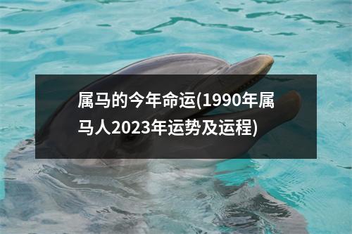 属马的今年命运(1990年属马人2023年运势及运程)