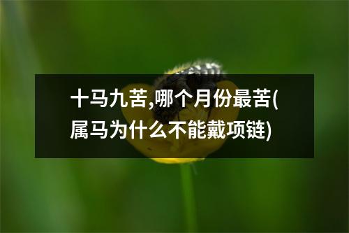 十马九苦,哪个月份苦(属马为什么不能戴项链)