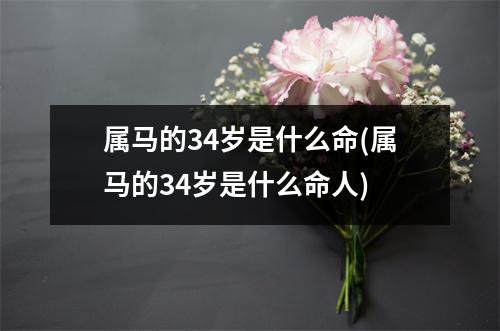 属马的34岁是什么命(属马的34岁是什么命人)