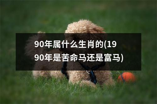 90年属什么生肖的(1990年是苦命马还是富马)