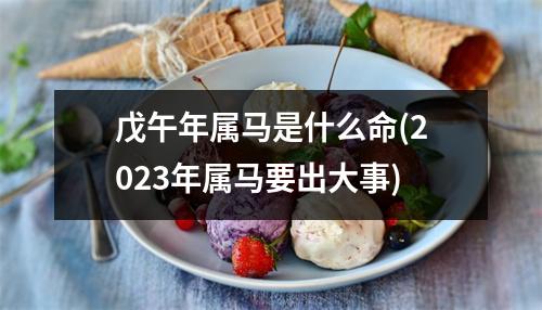 戊午年属马是什么命(2023年属马要出大事)