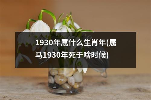 1930年属什么生肖年(属马1930年死于啥时候)