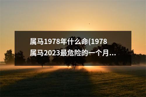 属马1978年什么命(1978属马2023危险的一个月)