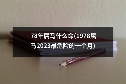 78年属马什么命(1978属马2023危险的一个月)