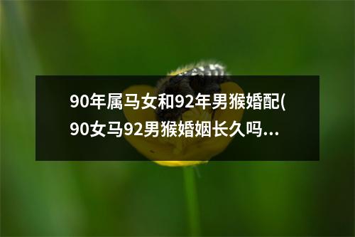 90年属马女和92年男猴婚配(90女马92男猴婚姻长久吗)