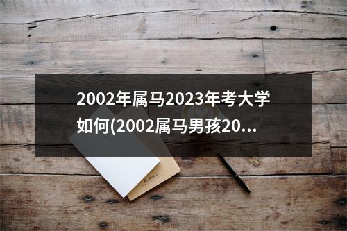 2002年属马2023年考大学如何(2002属马男孩2023年的学业)