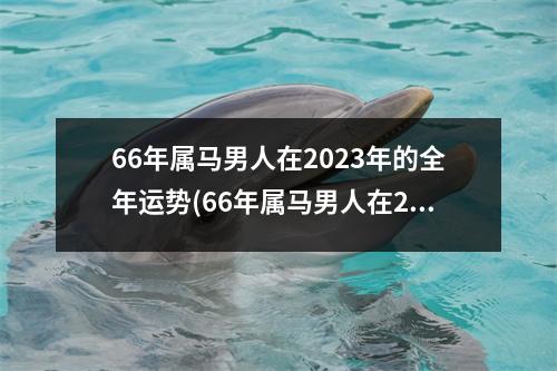 66年属马男人在2023年的全年运势(66年属马男人在2023年的全年运势什么命)