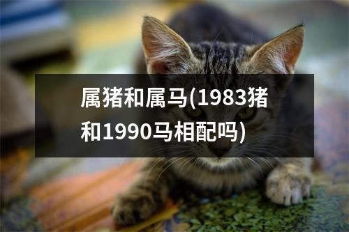 属猪和属马(1983猪和1990马相配吗)