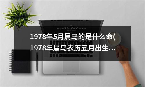 1978年5月属马的是什么命(1978年属马农历五月出生命运)