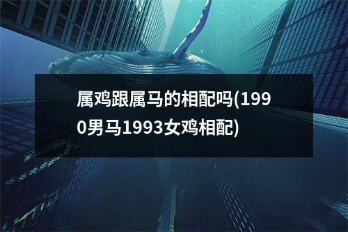 属鸡跟属马的相配吗(1990男马1993女鸡相配)