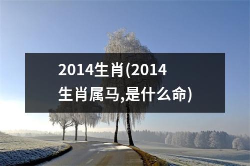 2014生肖(2014生肖属马,是什么命)