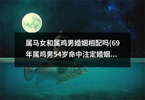 属马女和属鸡男婚姻相配吗(69年属鸡男54岁命中注定婚姻)