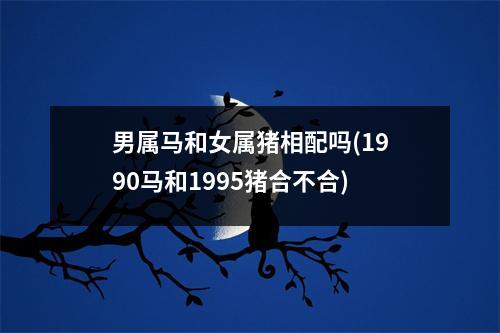 男属马和女属猪相配吗(1990马和1995猪合不合)