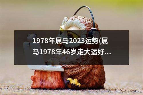 1978年属马2023运势(属马1978年46岁走大运好不好)