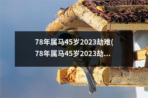 78年属马45岁2023劫难(78年属马45岁2023劫难今年不离婚明年会和好)