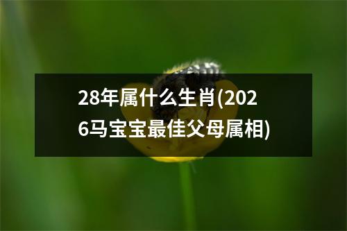 28年属什么生肖(2026马宝宝佳父母属相)