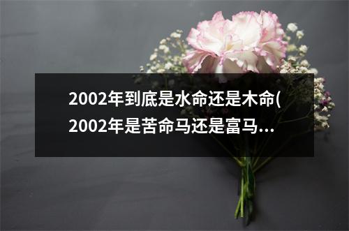 2002年到底是水命还是木命(2002年是苦命马还是富马)