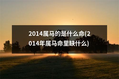 2014属马的是什么命(2014年属马命里缺什么)