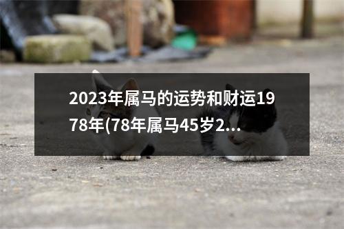 2023年属马的运势和财运1978年(78年属马45岁2023劫难)