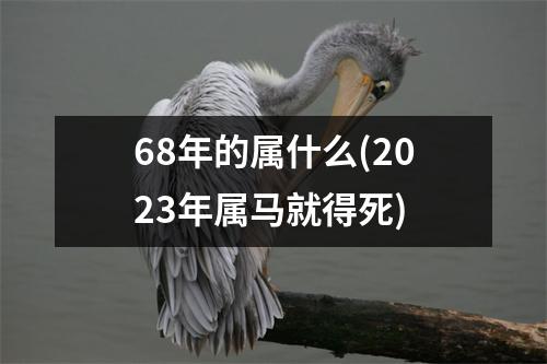 68年的属什么(2023年属马就得死)